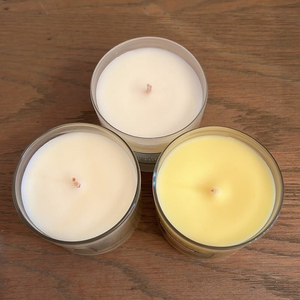 Bath & Body Works Set of 3 Fresh Scent Candles 4oz each - NEW - Picture 3 of 3